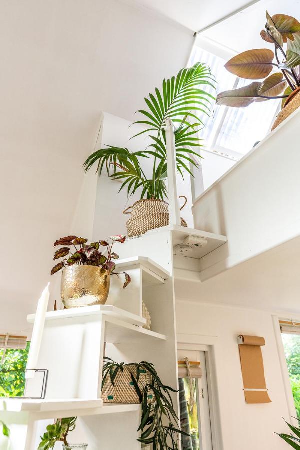 Boho Hill Waiheke Island Villa Palm Beach Exterior foto