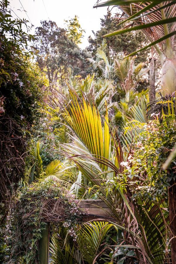 Boho Hill Waiheke Island Villa Palm Beach Exterior foto