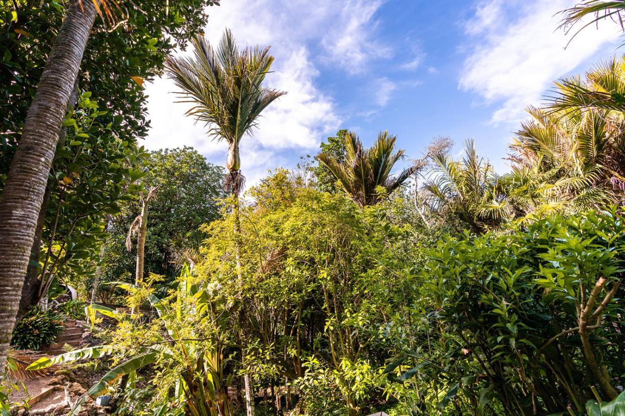 Boho Hill Waiheke Island Villa Palm Beach Exterior foto